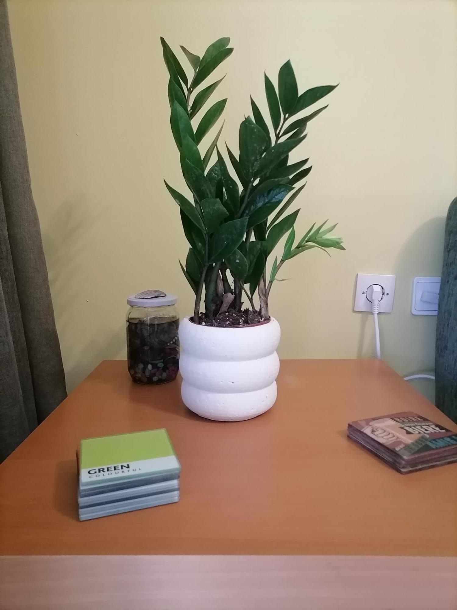 το σπίτι του στράτου στη θεσσαλονίκη- Stratos' In Appartement